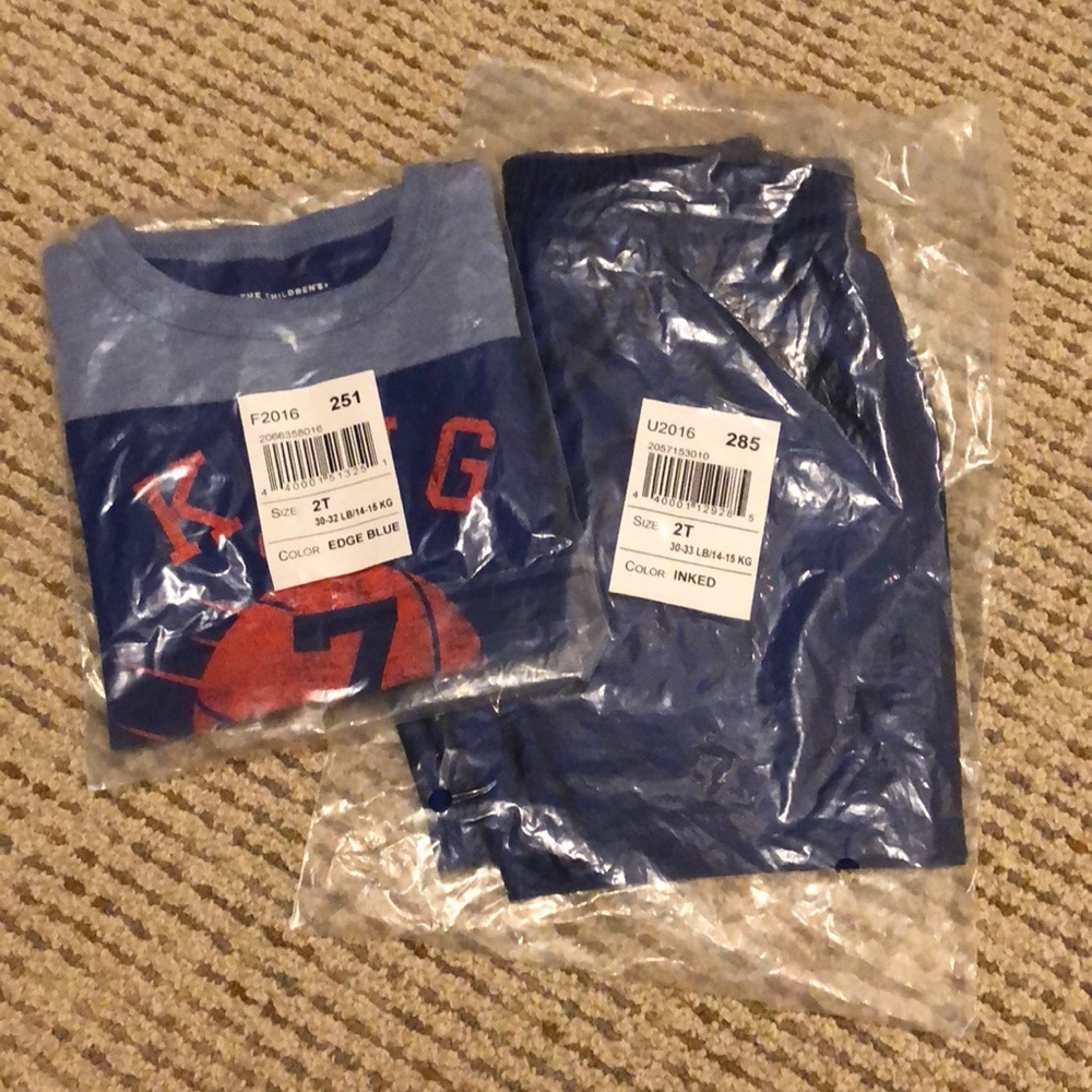 NWT- The Children’s Place shirt and short set 2T